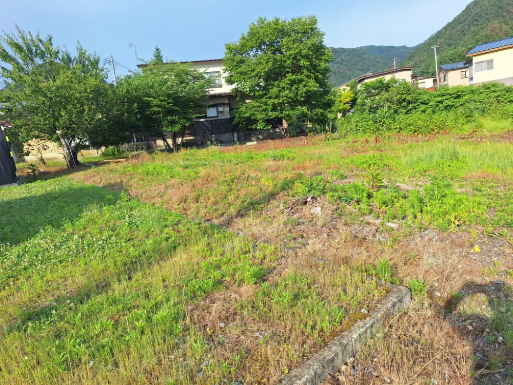 land image 2