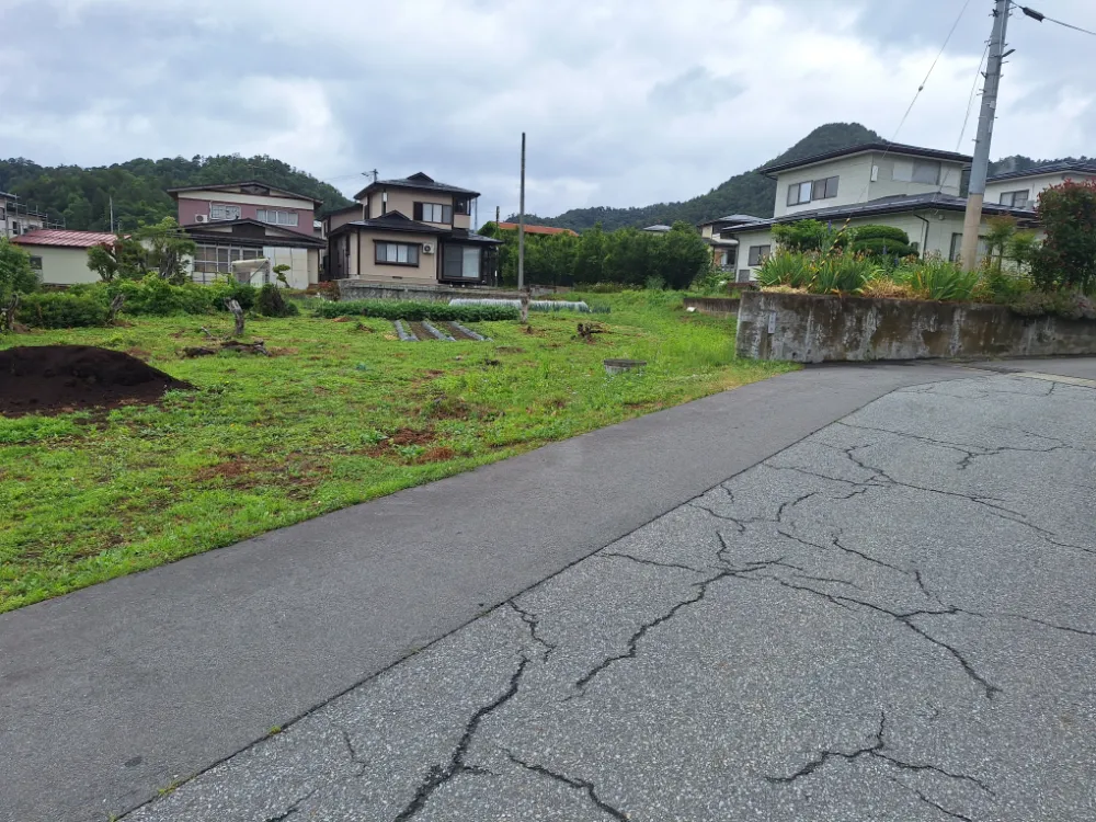 land image 1