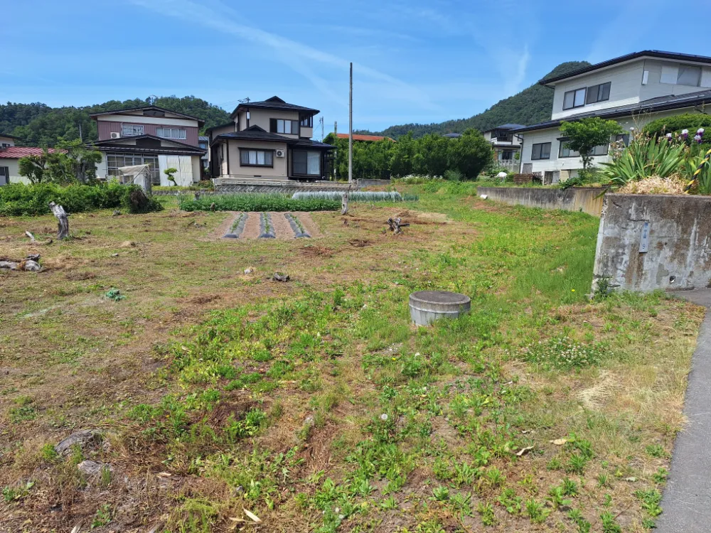 land image 2